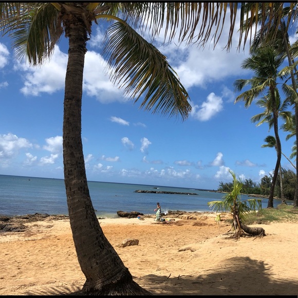 Meet your Posher, Joyce - Picture 1 of 6